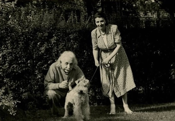 Il cane che piegava il tempo, aspettando la cena